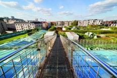 walkway on top of a glass roof